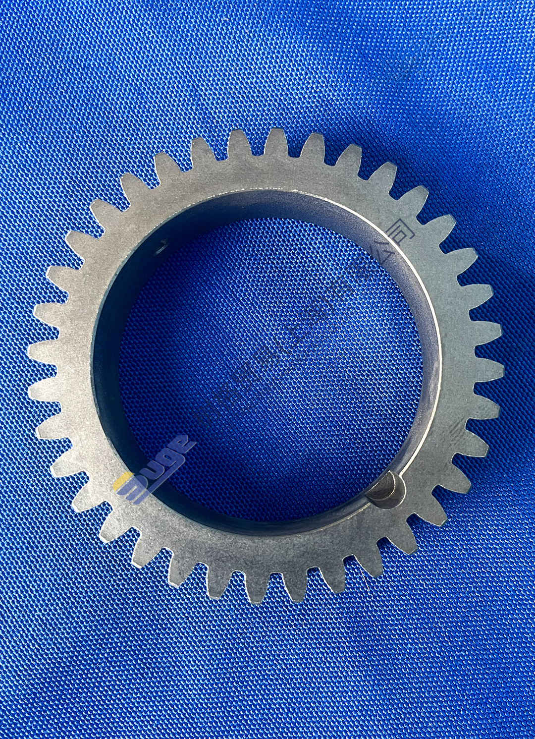 5841 300 359油泵齿轮1