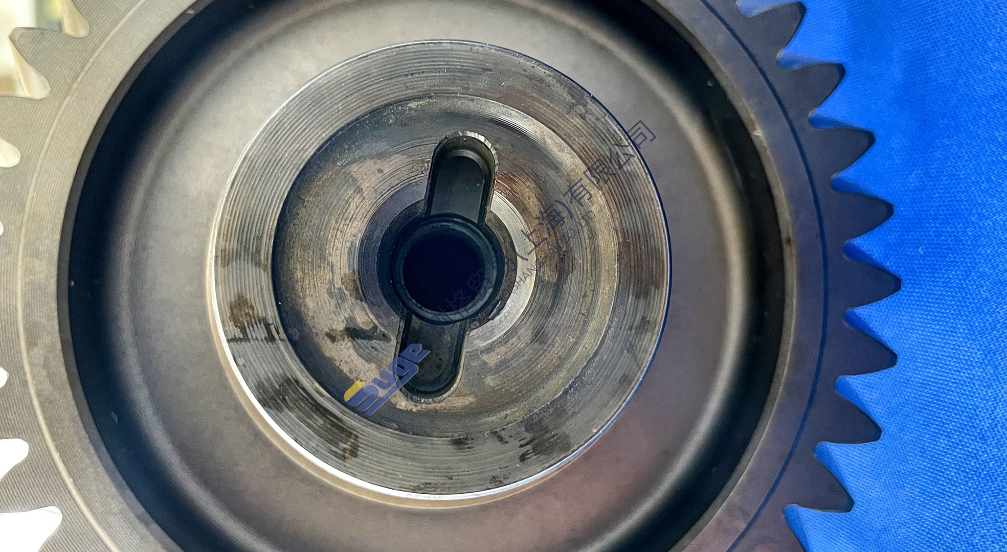 微信图片_20231120140654