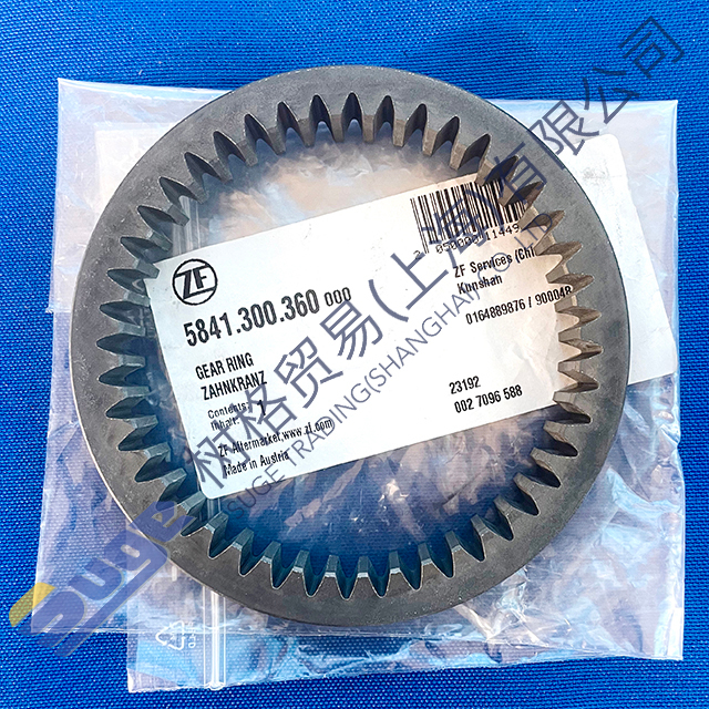 ZF transfer case VG2700 spare parts Oil pump gear ring 5841 300 360