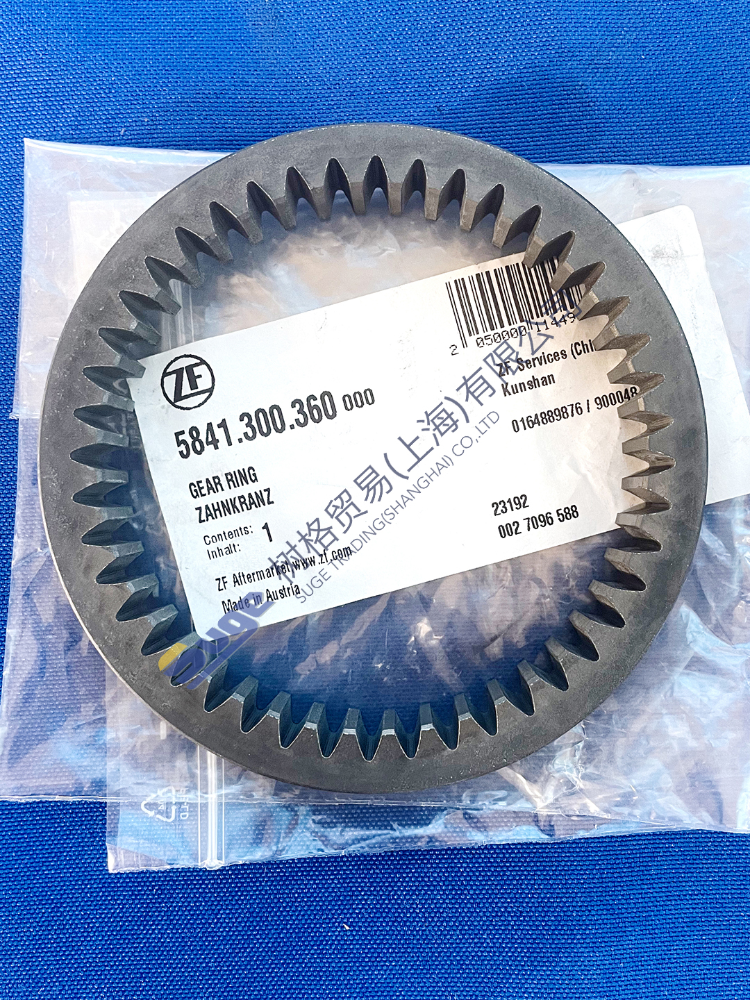 5841 300 360油泵齿圈3