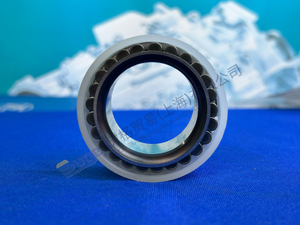 ZF MT-E AXLE CYLINDER ROLLER BEARING 0750 118 493