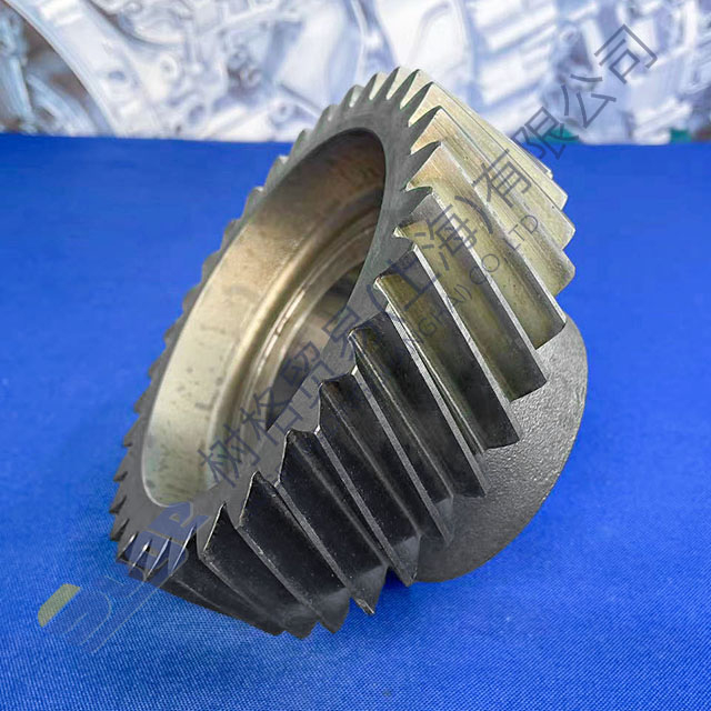 ZF 9s1310TO constant gear 1324 303 004