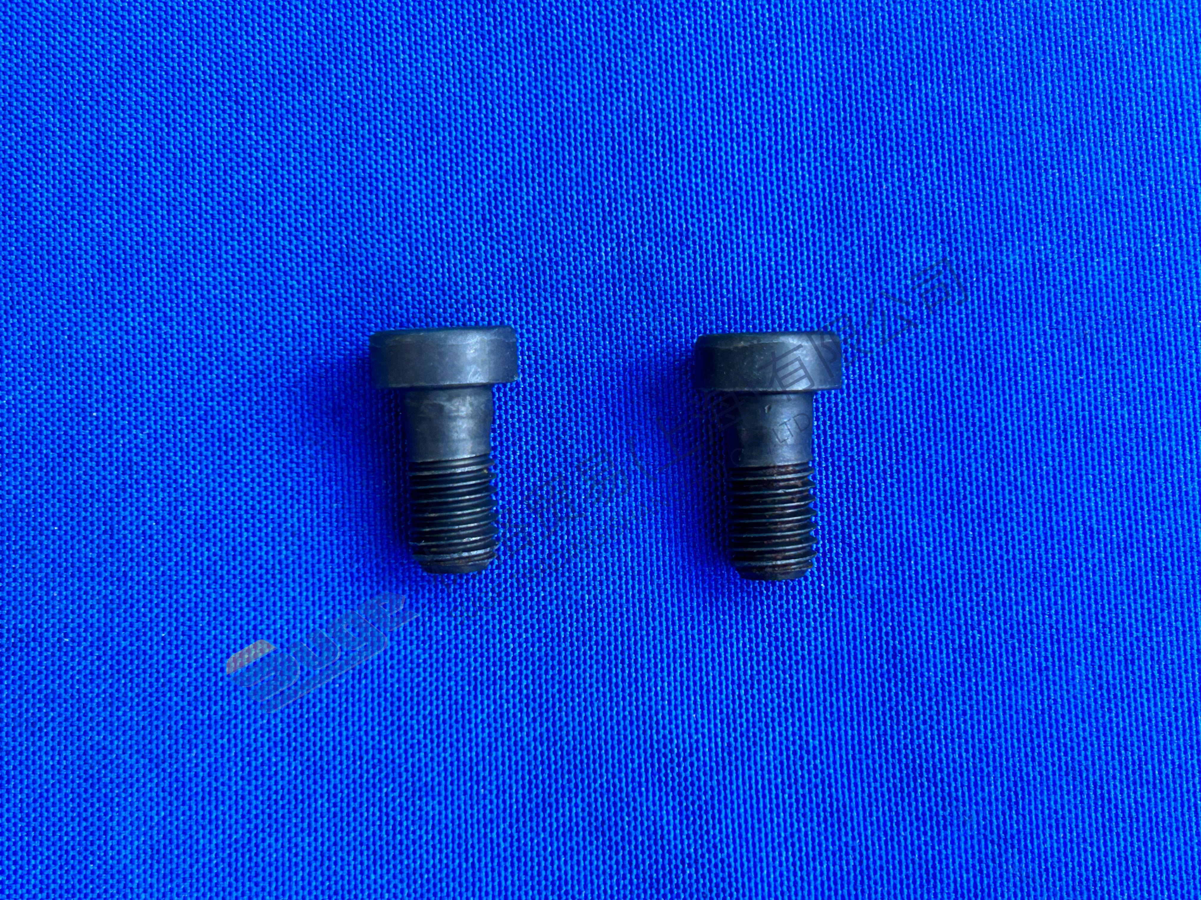 ZF MT-E AXLE CAP SCREW 0636 102 041