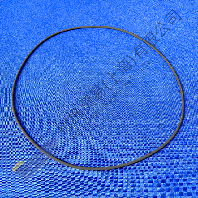 ZF WG310 oil distribution flange O-ring 0634 313 867