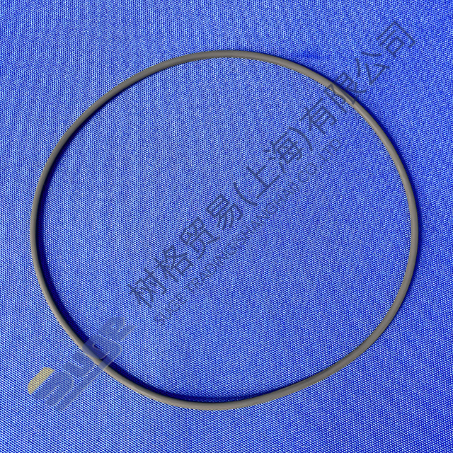 ZF 4WG260 4WG310 WGO ring 142x3 0634 313 719