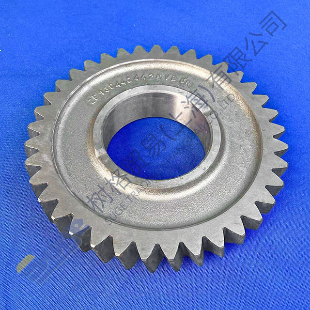 ZF 9s1310TO helical gear 1304 304 543