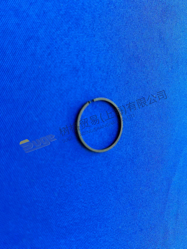 ZF 4WG200 R-Ring 0634 402 025