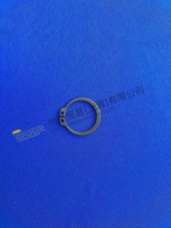 ZF 4WG200 Retaining Ring 0630 501 024