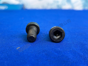 ZF MT-E AXLE CAP SCREW 0636 102 041
