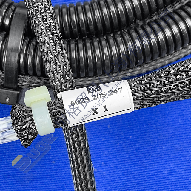 ZF 4WG200 wiring harness 6029 205 247