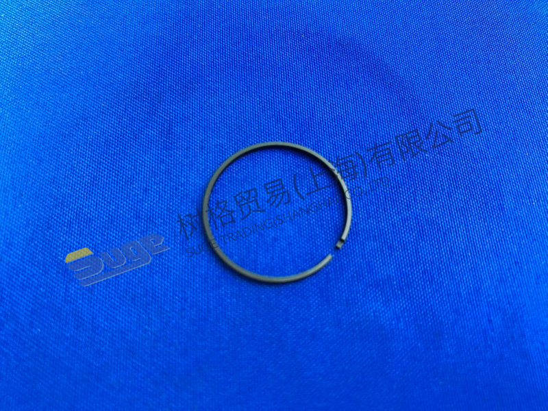 ZF 4WG200 Piston Ring 0734 401 106