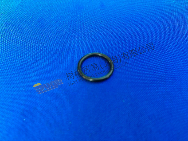 ZF 4WG200 O-Ring 0634 306 213