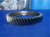 ZF TRAXON Automatic Transmission Parts HELICAL GEAER 6093 304 133