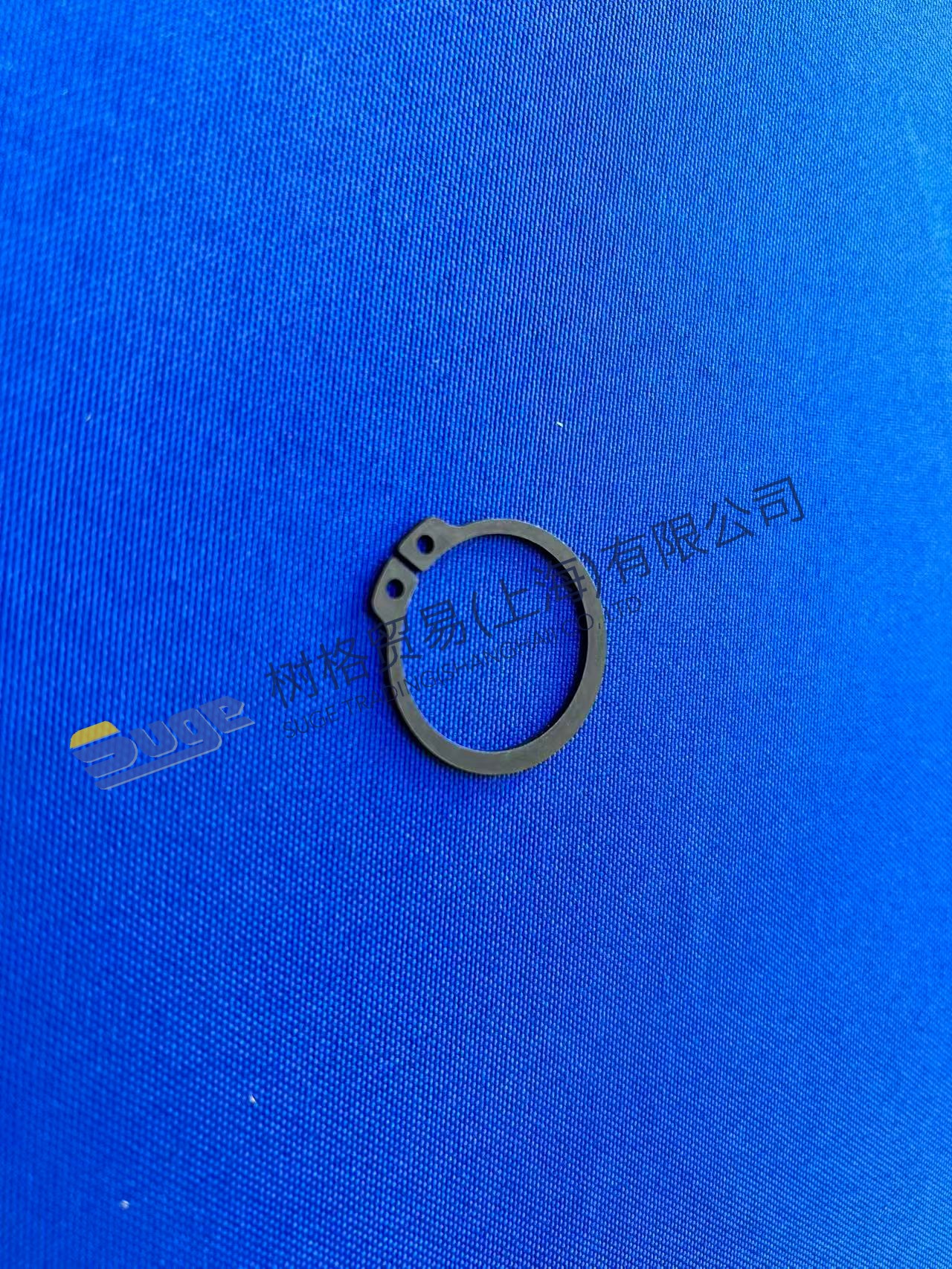 ZF 4WG200 Retaining Ring 0630 501 024