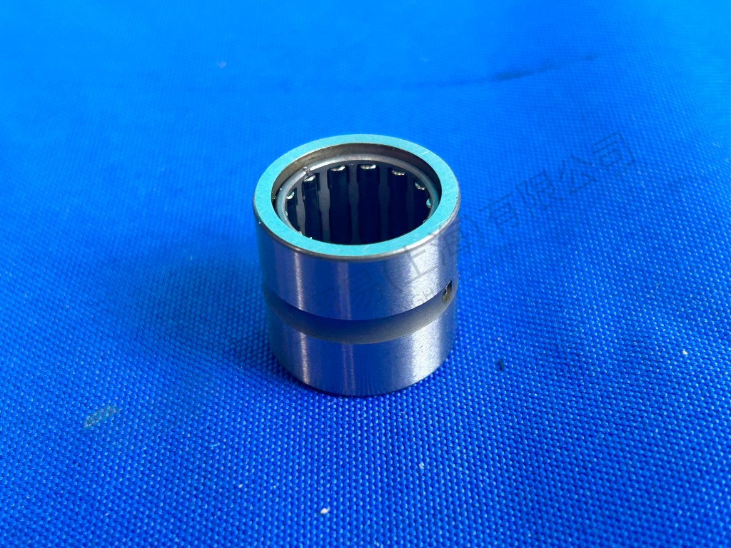 ZF NEEDLE BEARING Apply to INTARDER 0735 303 082