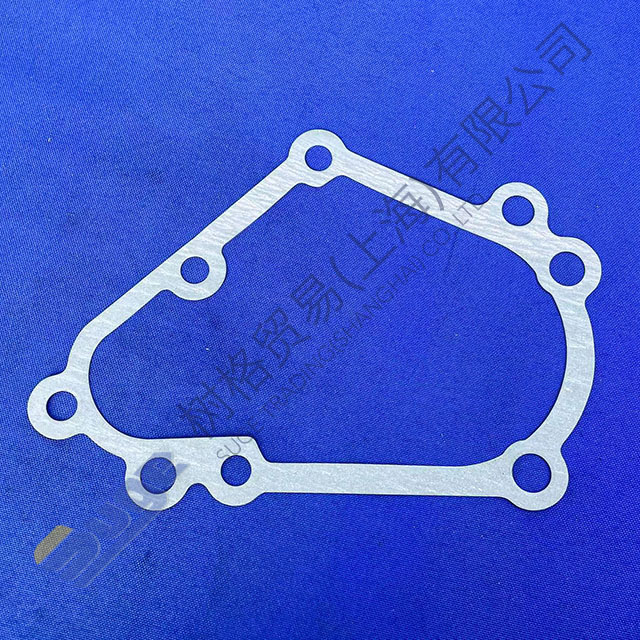 ZF 9s1310TO gasket 1304 313 145
