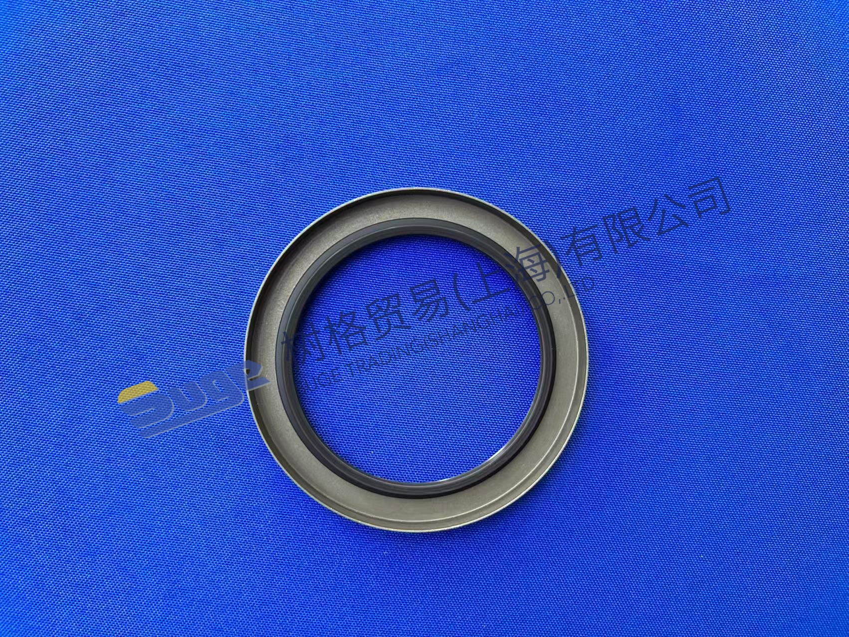 ZF 4WG200 Shaft Seal 0734 300 845