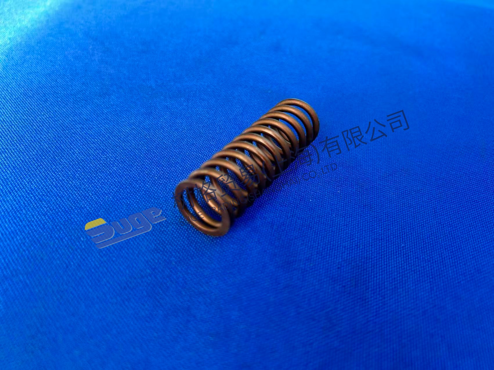 ZF 4WG200 Compress Spring 0732 041 352