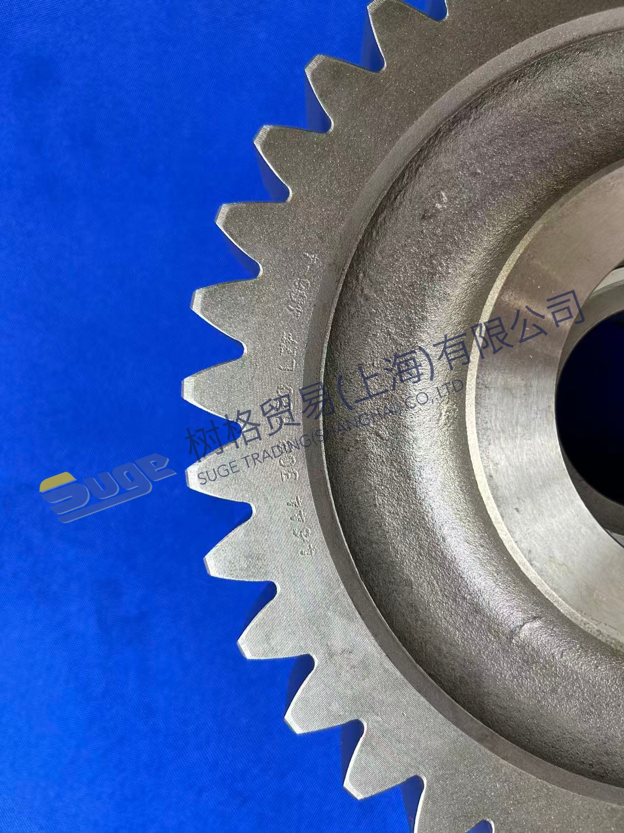 ZF 4WG200 Spur Gear 4644 308 630