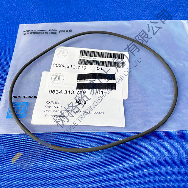 ZF 4WG260 4WG310 WGO ring 142x3 0634 313 719