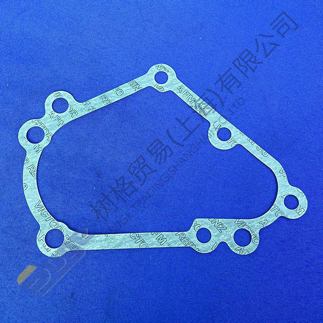 ZF 9s1310TO gasket 1304 313 145