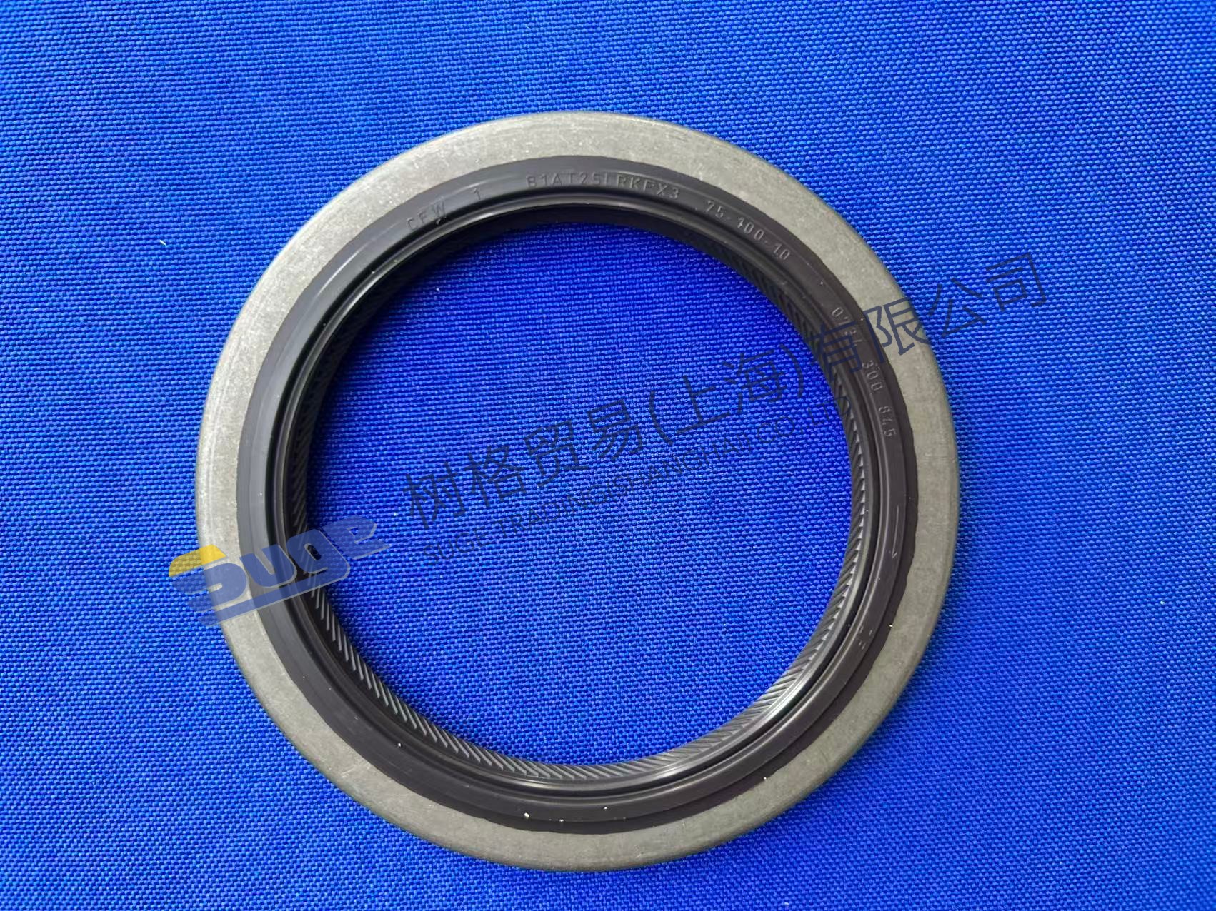 ZF 4WG200 Shaft Seal 0734 300 845