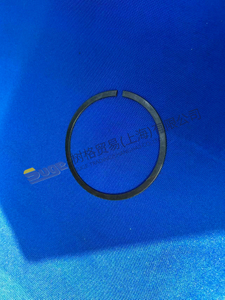 ZF 4WG200 Snap Ring Set 0630 503 011