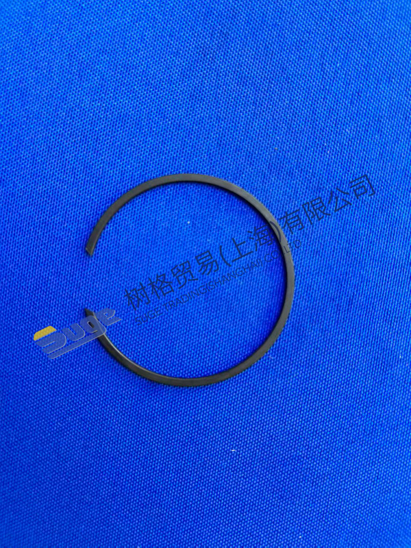 ZF 4WG200 Snap Ring 0630 513 016