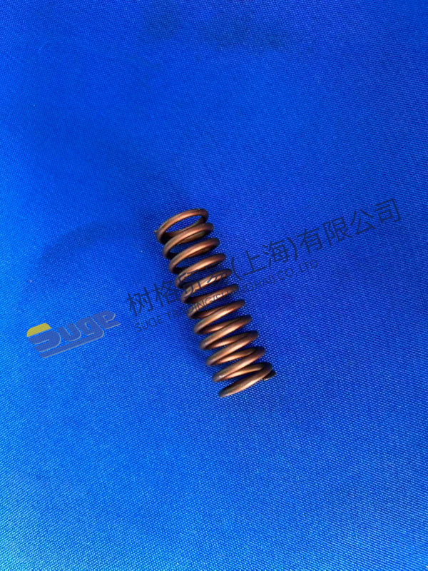 ZF 4WG200 Compress Spring 0732 041 352