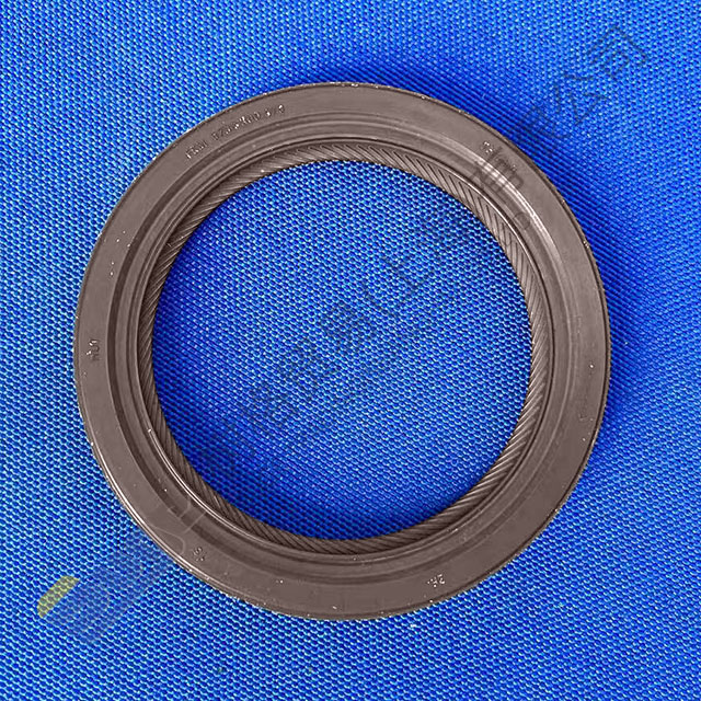 ZF 9s1310TO input shaft seal 0769 174 313
