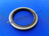 ZF 4WG200 Shaft Seal 0734 300 845