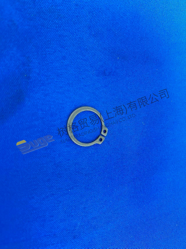 ZF 4WG200 Snap Ring Set 0630 501 018