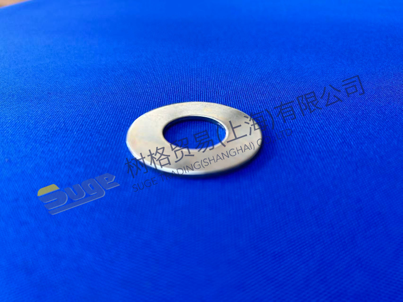 ZF 4WG200 Washer 0501 300 407