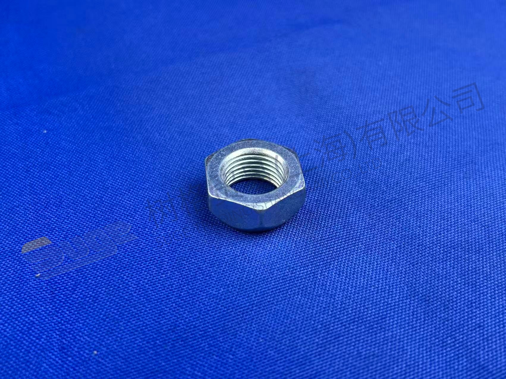 ZF LOCKING NUT 0737 300 037