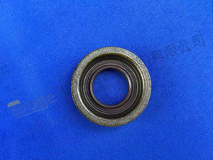 ZF FLANGE PACKING 0750 112 253
