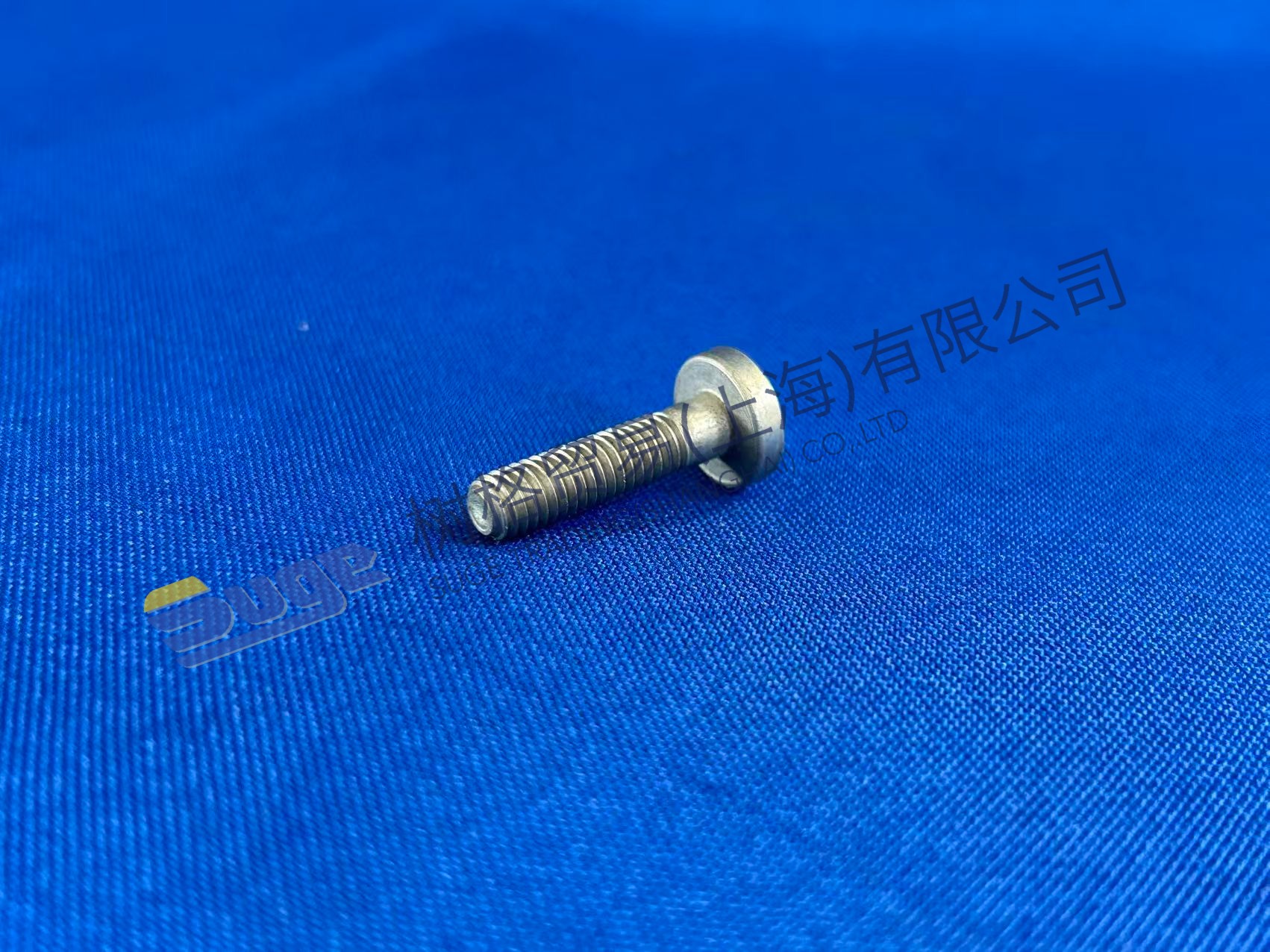 ZF TORX SCREW 0736 300 231