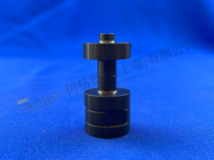 ZF PISTON 1316 321 005
