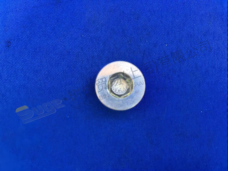 ZF SCREW PLUG 0636 302 612