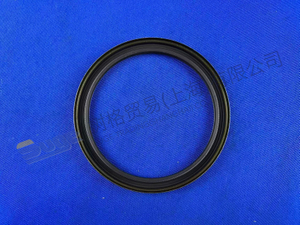 ZF SHAFT SEAL 0734 319 833