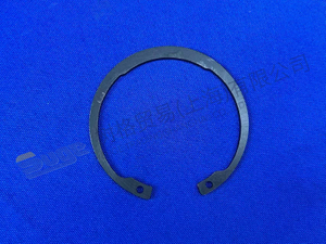 ZF RETAINING RING 0730 303 670