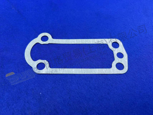 ZF GASKET 1315 307 242