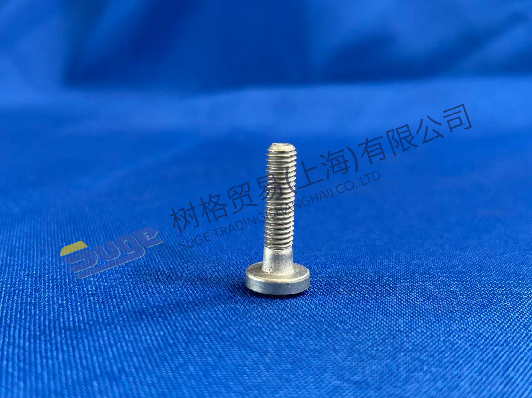 ZF TORX SCREW 0736 300 231
