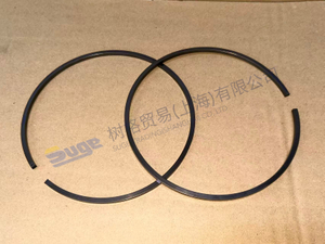 ZF 4BP230 SNAP RING 0730 513 697