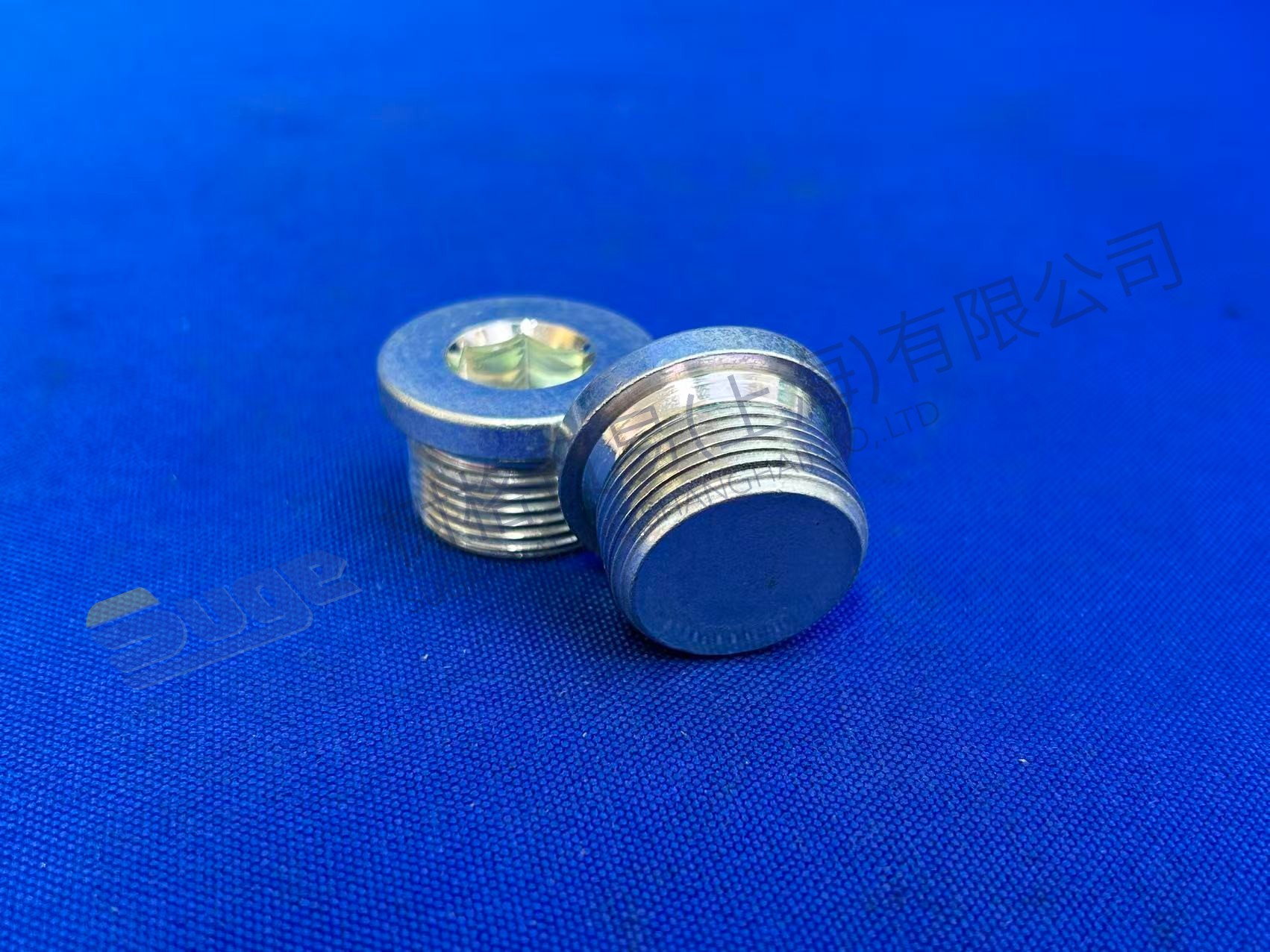 ZF SCREW PLUG 0636 302 612