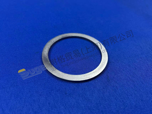 ZF 4BP230 SUPPORTING RING 0730 011 028