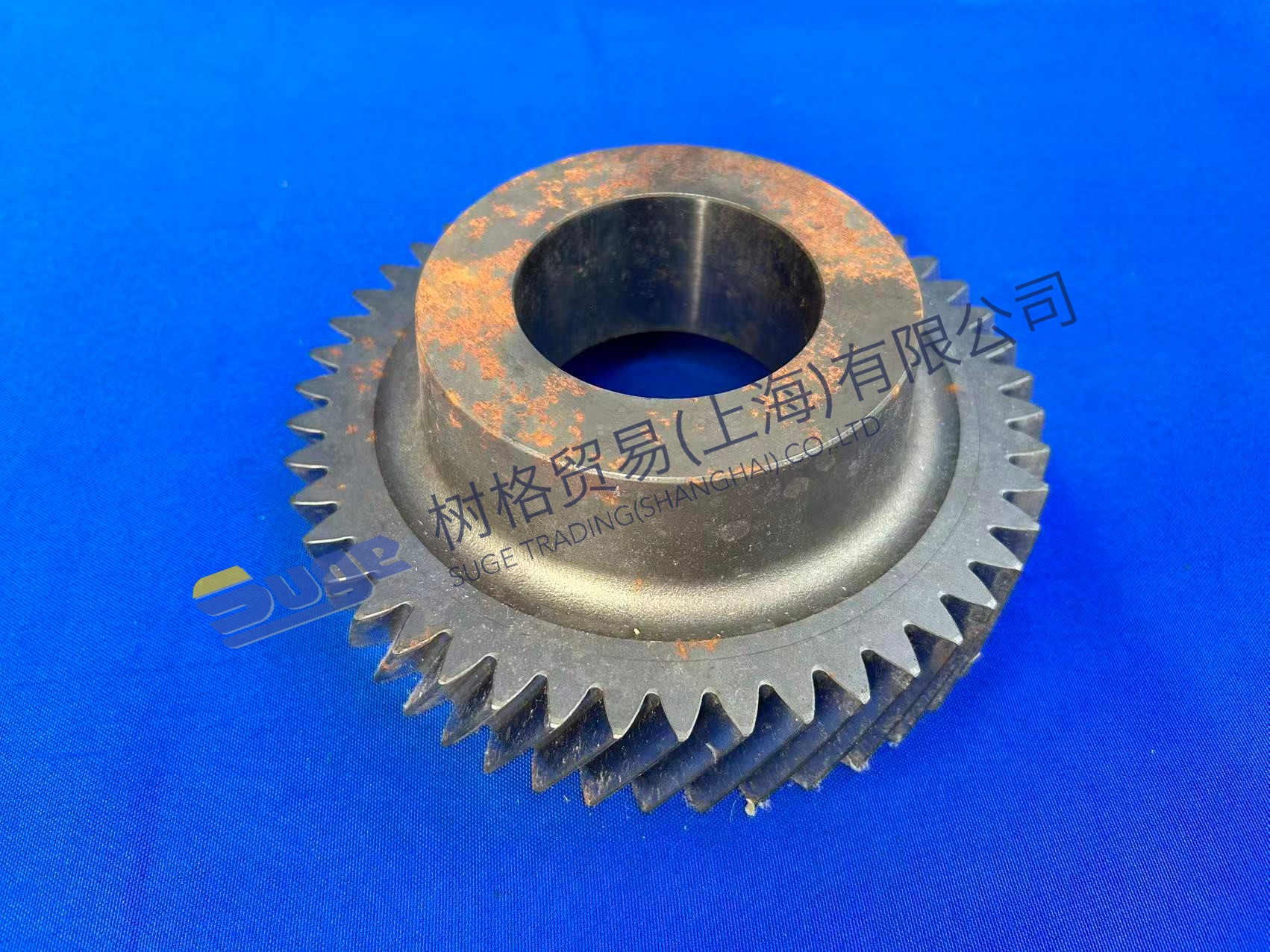 ZF HELICAL GEAR 1310 303 069
