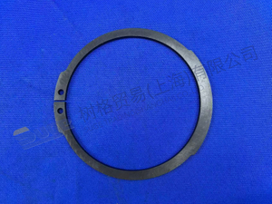 ZF RETAINING RING 0630 501 175