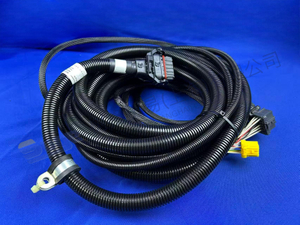 ZF CABLE 6029 021 004
