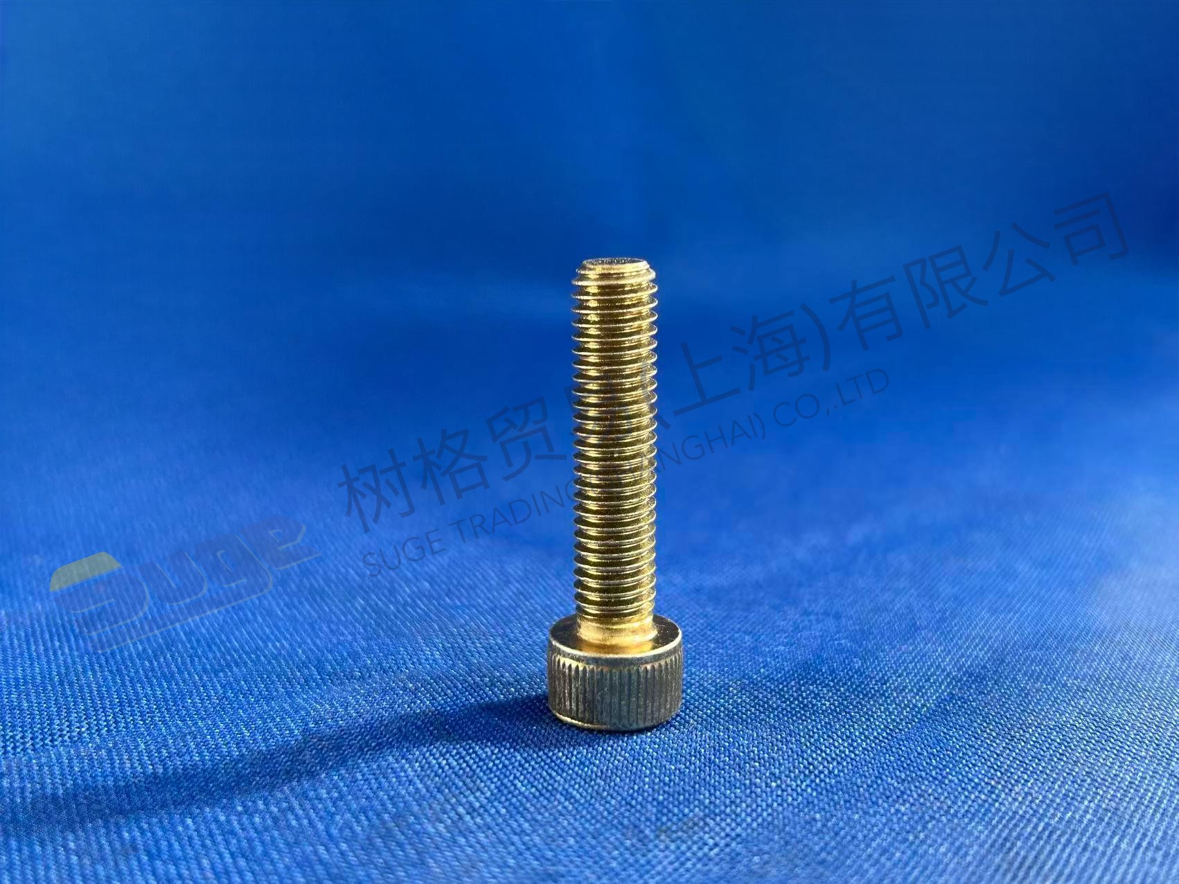 ZF CAP SCREW 0636 101 356