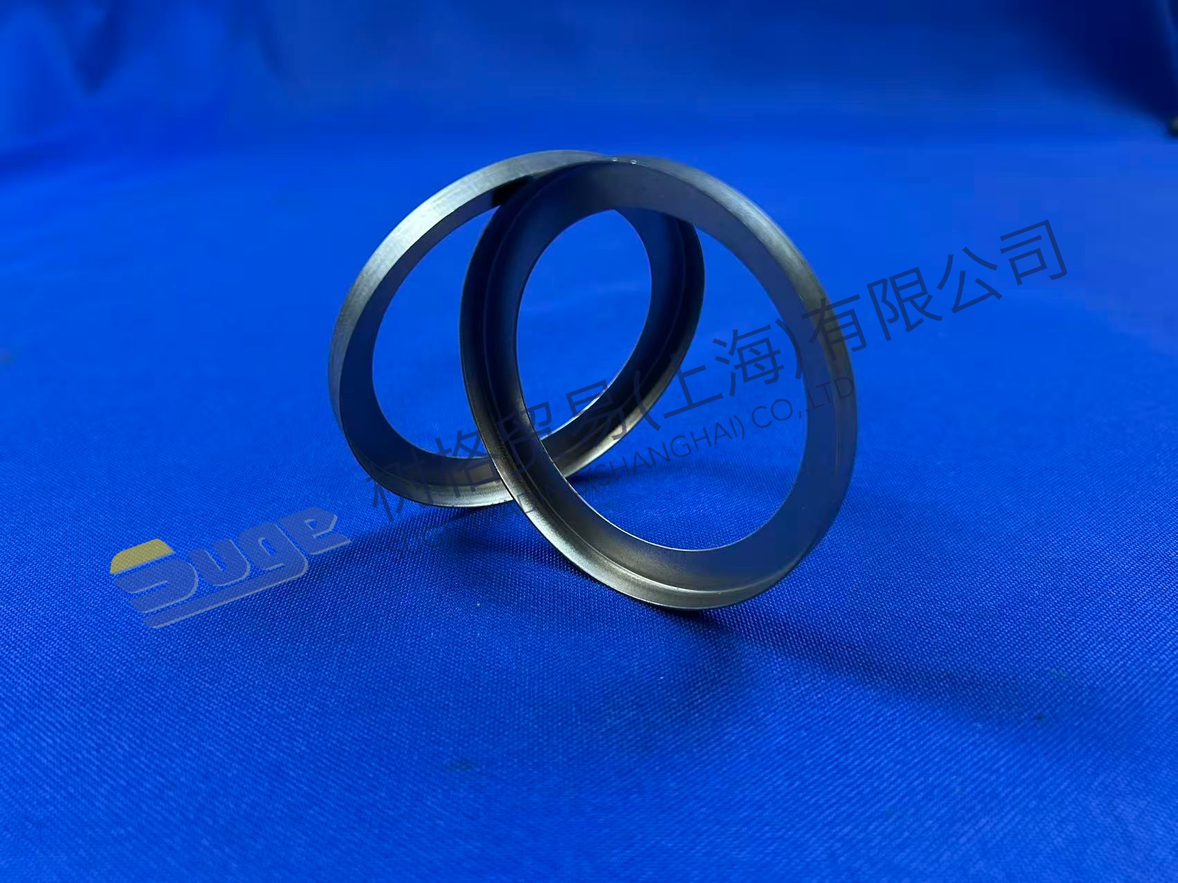 ZF 4BP230 GUIDE RING 4642 308 083